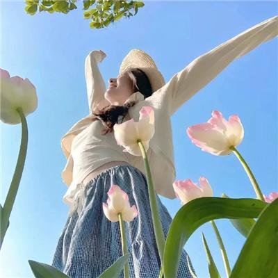 JOJO的奇妙冒险 石之海 Part.3